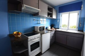 Superior Apartment | Private kitchenette | Fridge, microwave, stovetop, espresso maker
