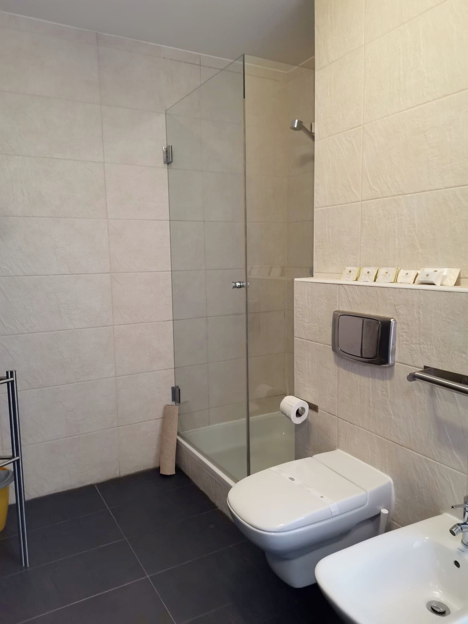 A modern bathroom with a glass shower enclosure, a toilet, and a sink.