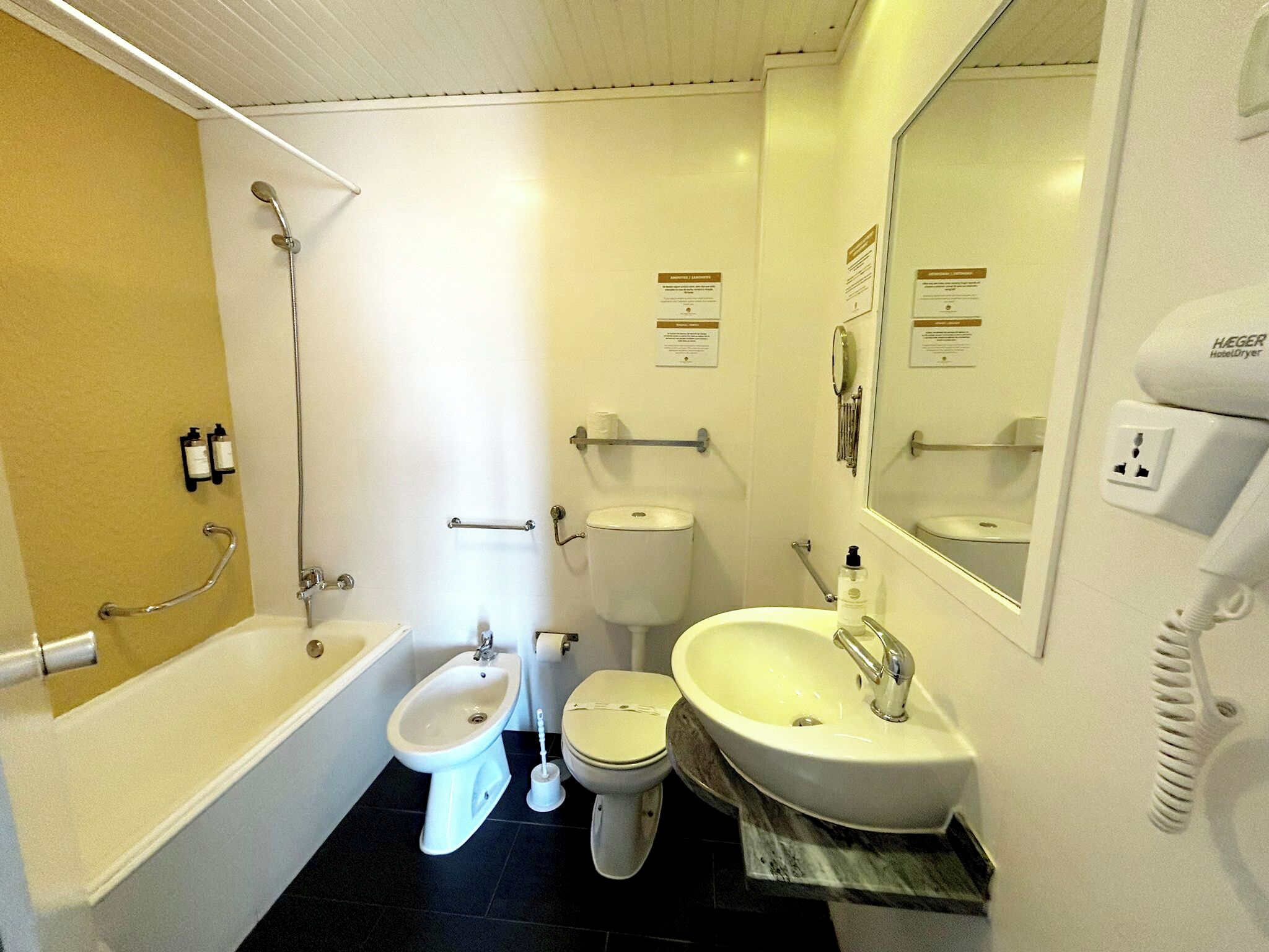 Une salle de bain équipée d’une baignoire, d’un bidet, de toilettes, d’un lavabo et d’un miroir.