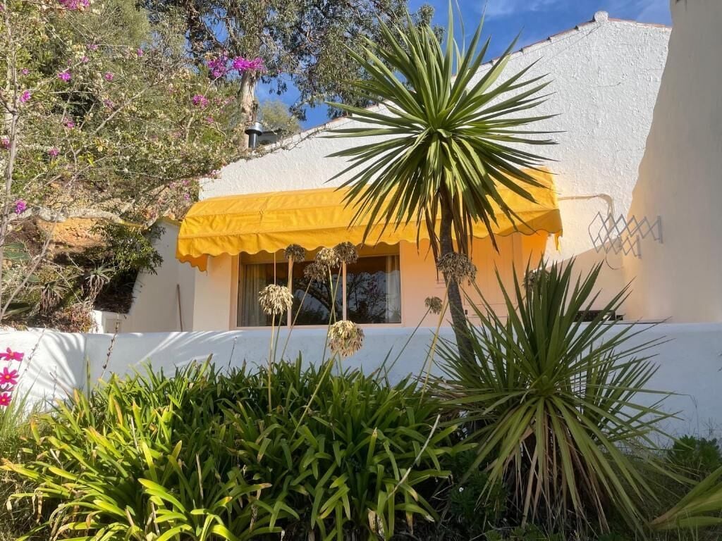 Un edificio blanco con un toldo amarillo, rodeado de abundante vegetación y plantas con flores.