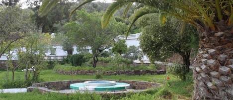 A garden with a circular pool, palm trees, and a stone wall.