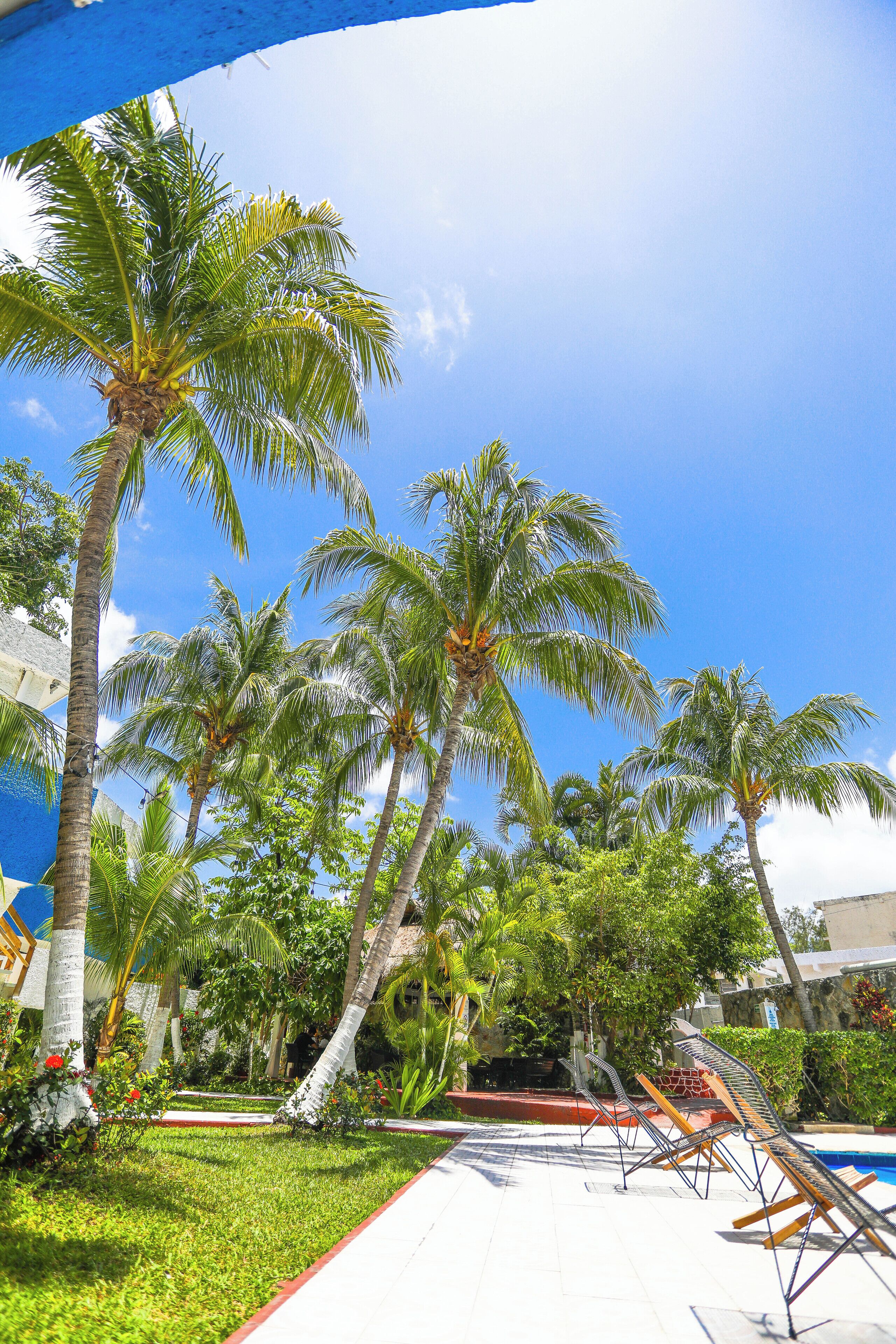 Standard Room | View from room