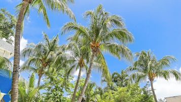 Standard Room | View from room