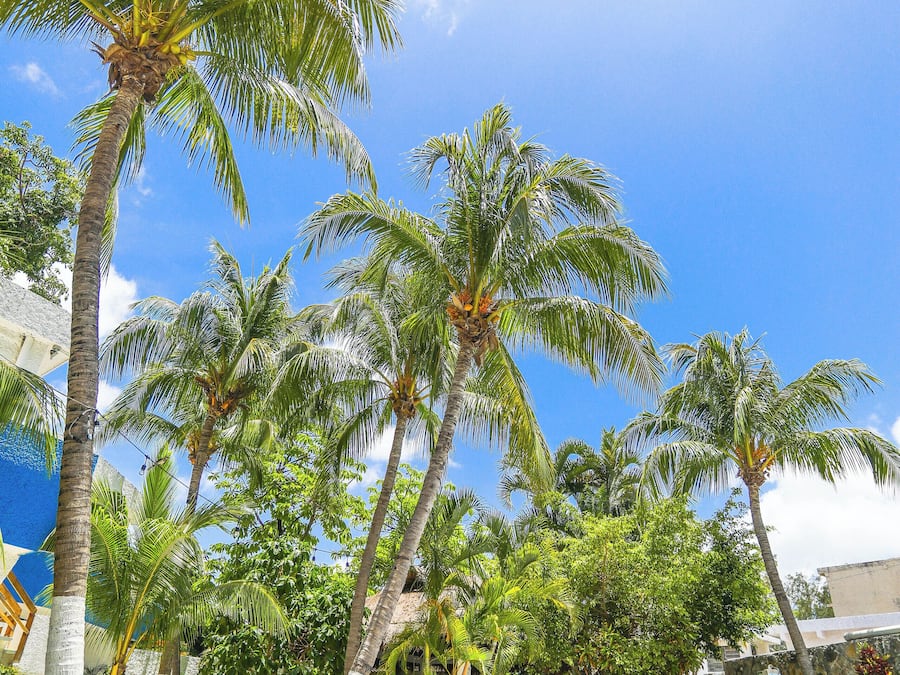 标准双人房 | 客房景观