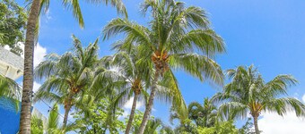 Caribe Internacional Cancun