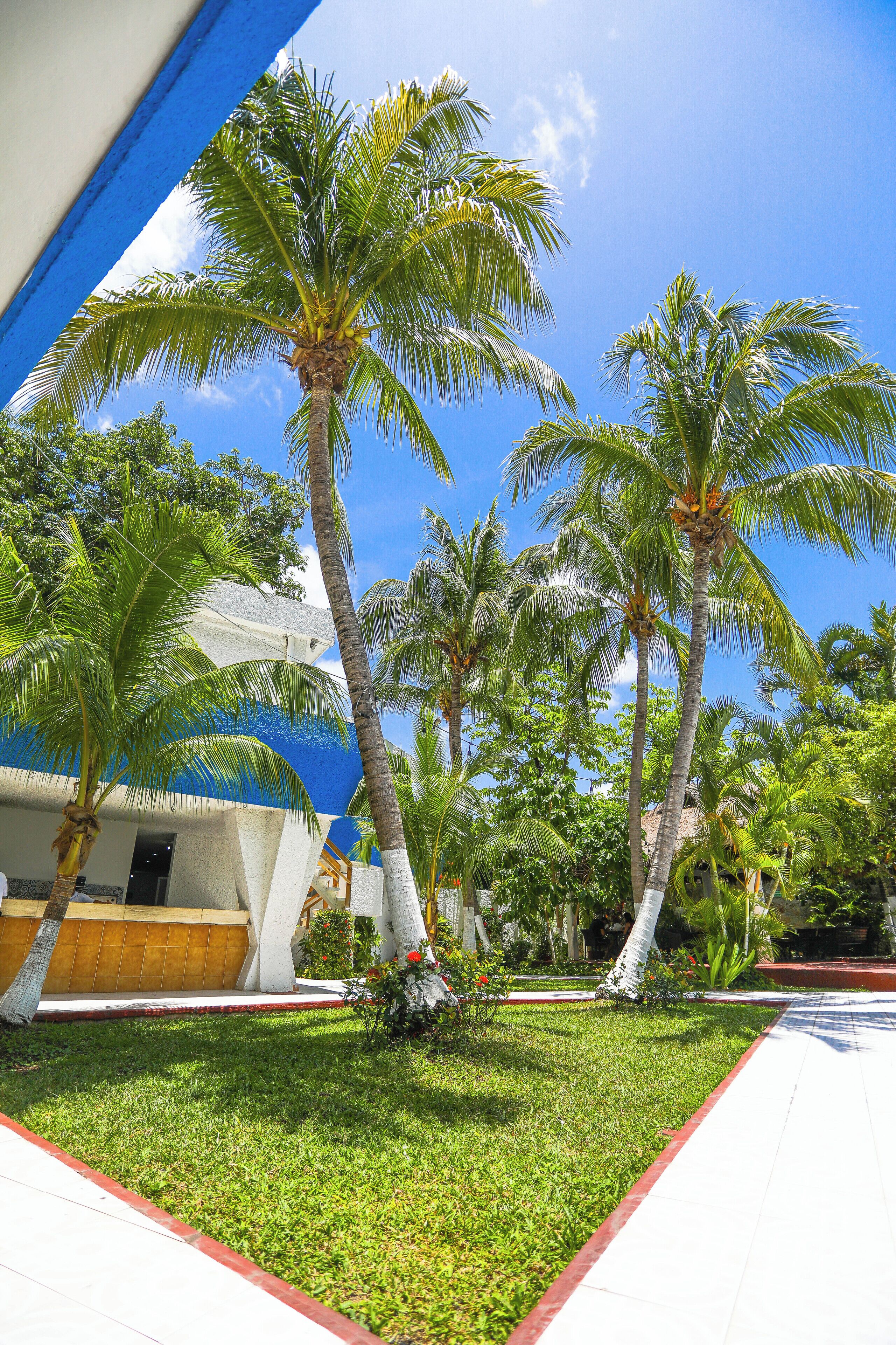 Foto - Hotel Caribe Internacional Cancun