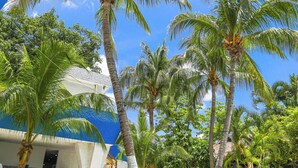 A courtyard with palm trees, a blue building, and a white building. - Caribe Internacional Cancun (Cancun)