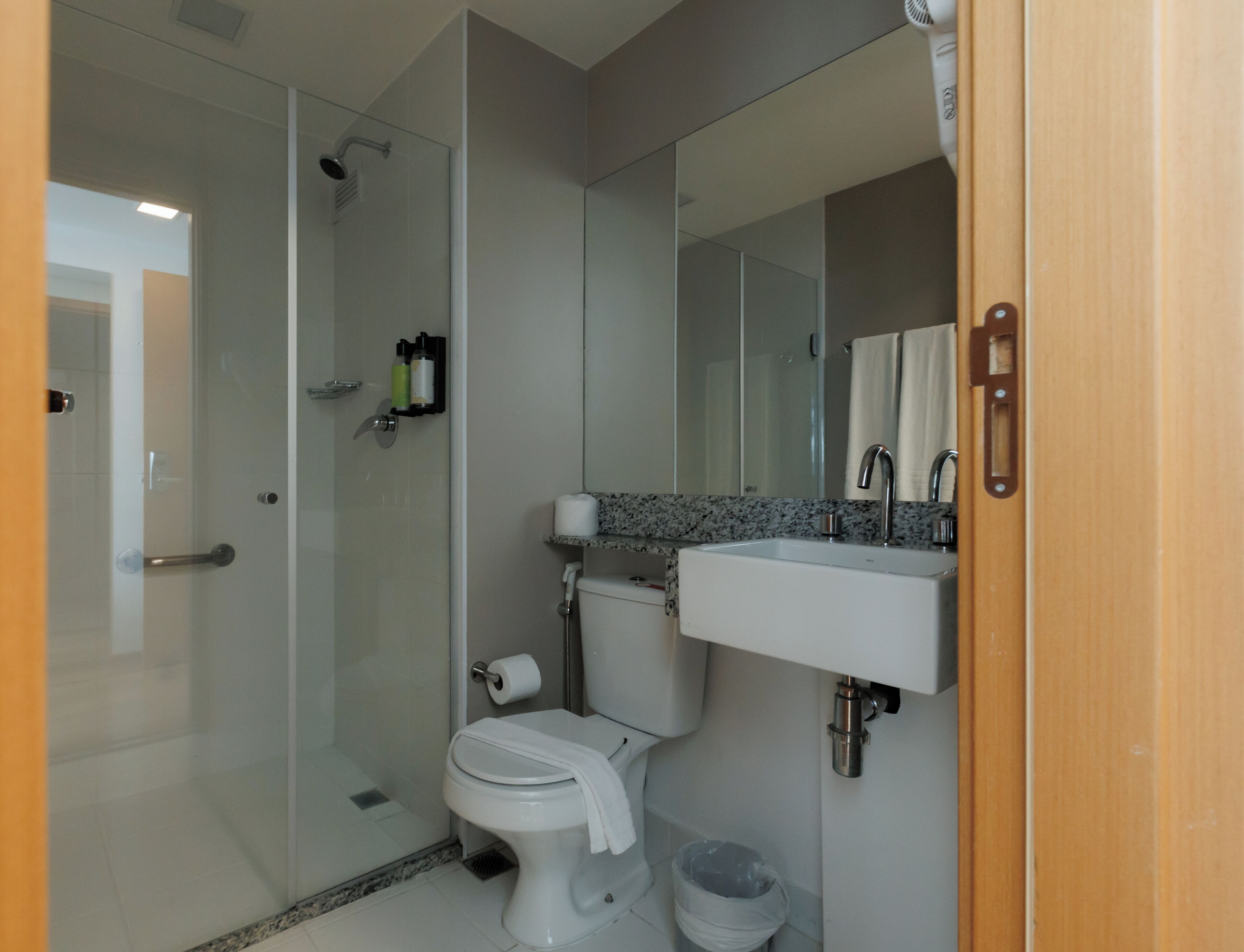 deluxe double room | bathroom | shower, free toiletries, hair dryer, towels