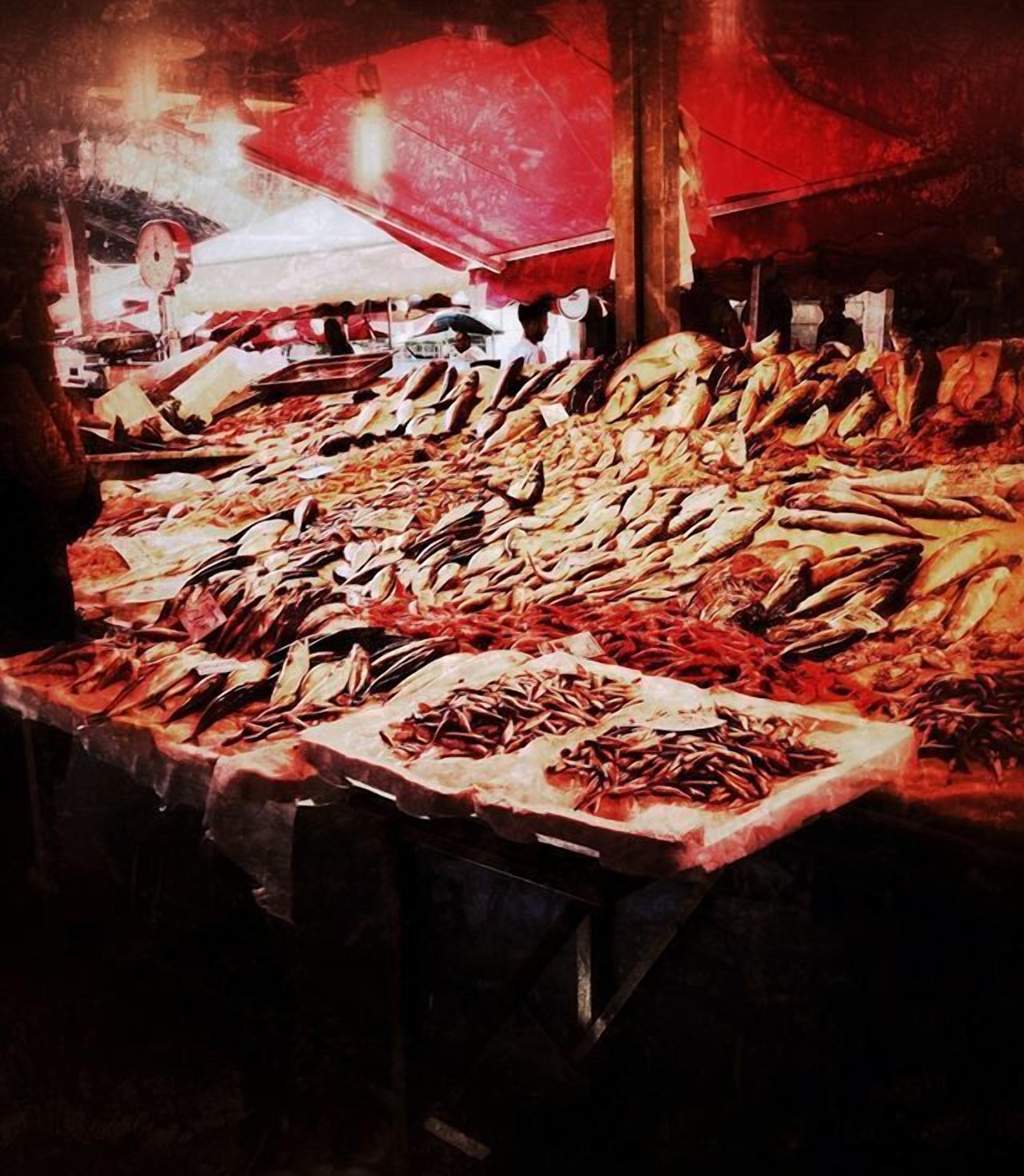 Photo - Ostello degli Elefanti