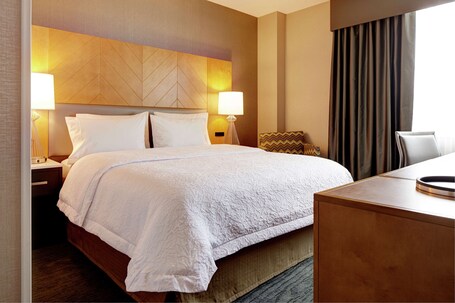 Hampton Inn Brooklyn/Downtown - view 3