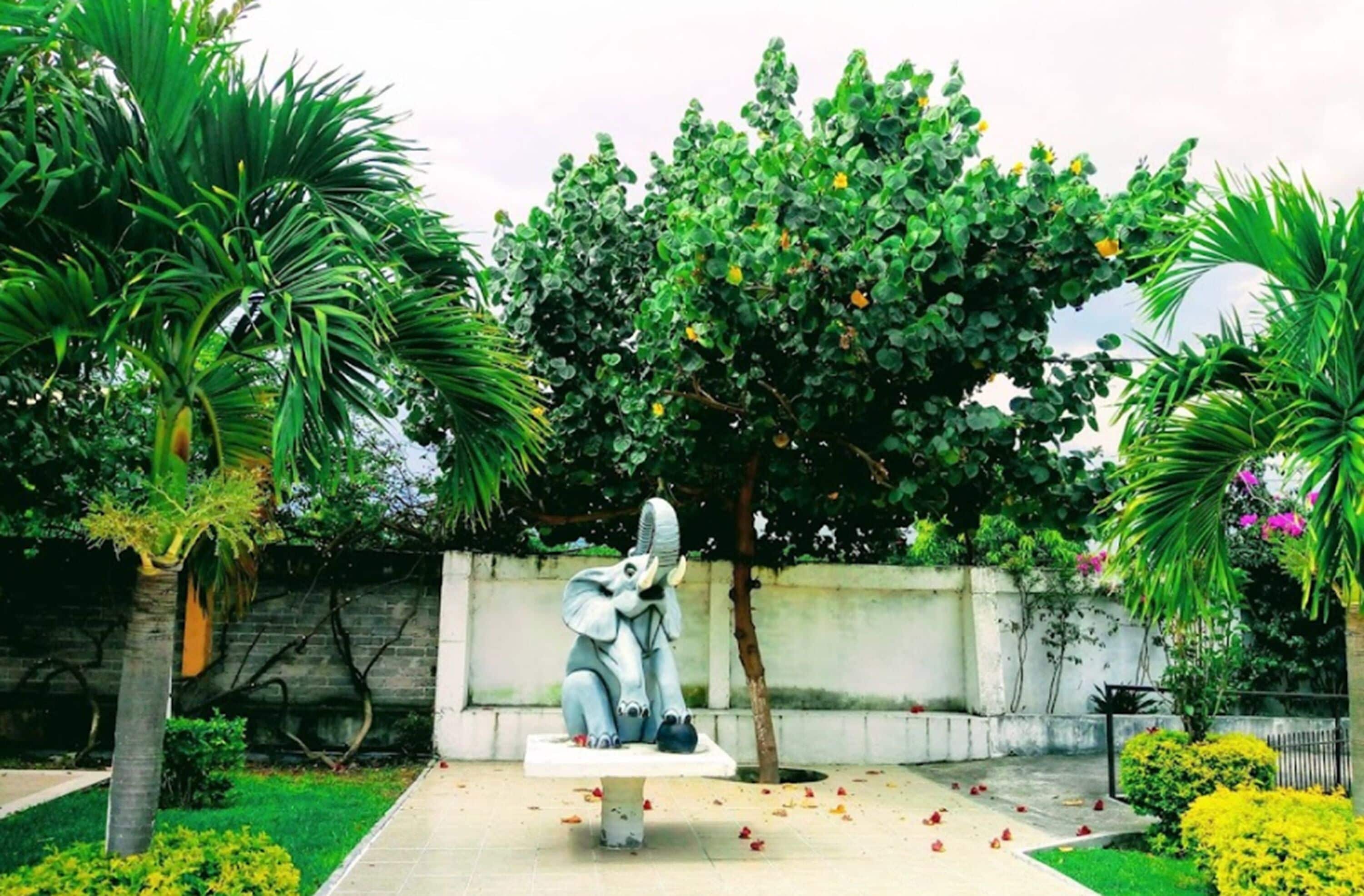 Jardín