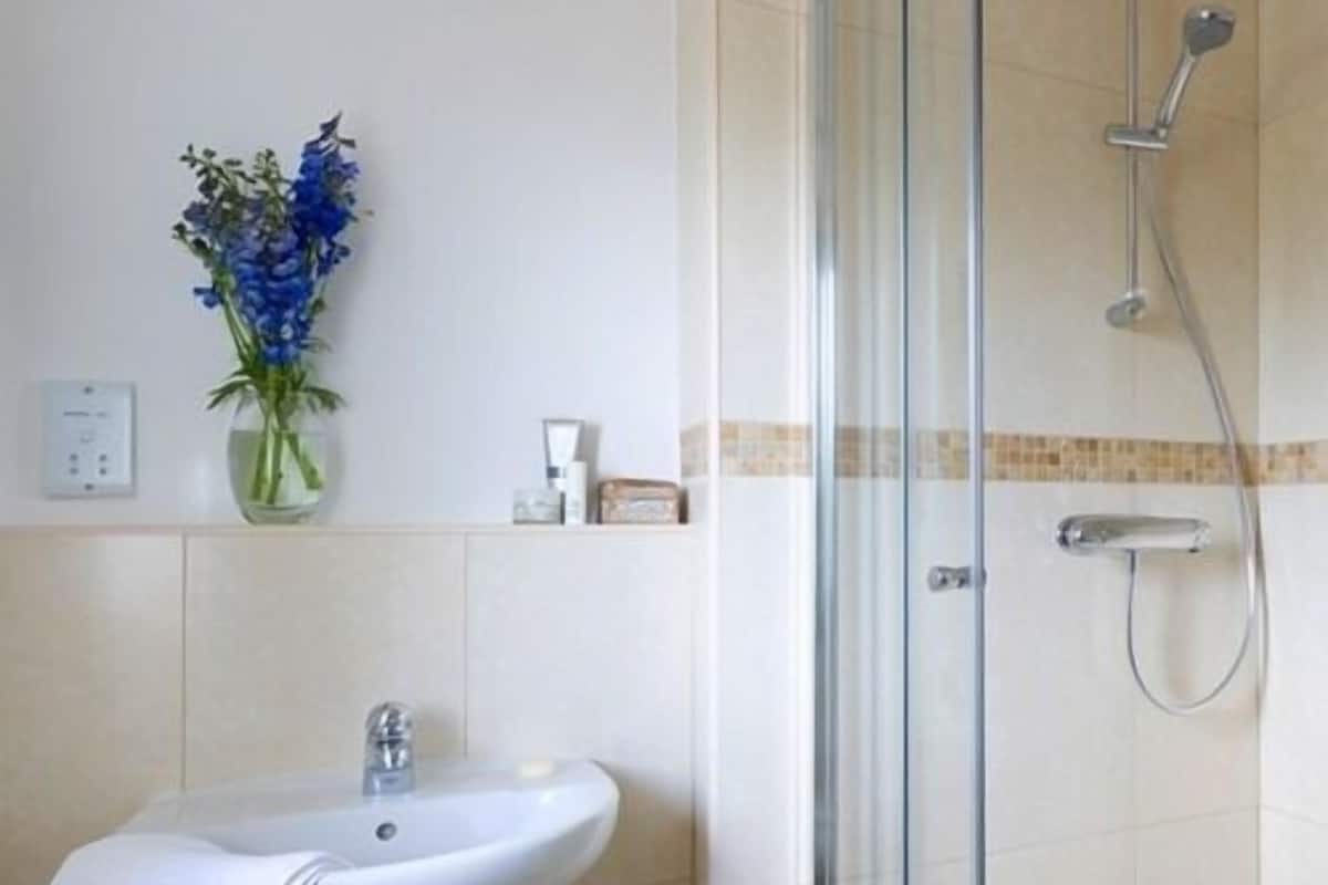 Shower, hair dryer, towels