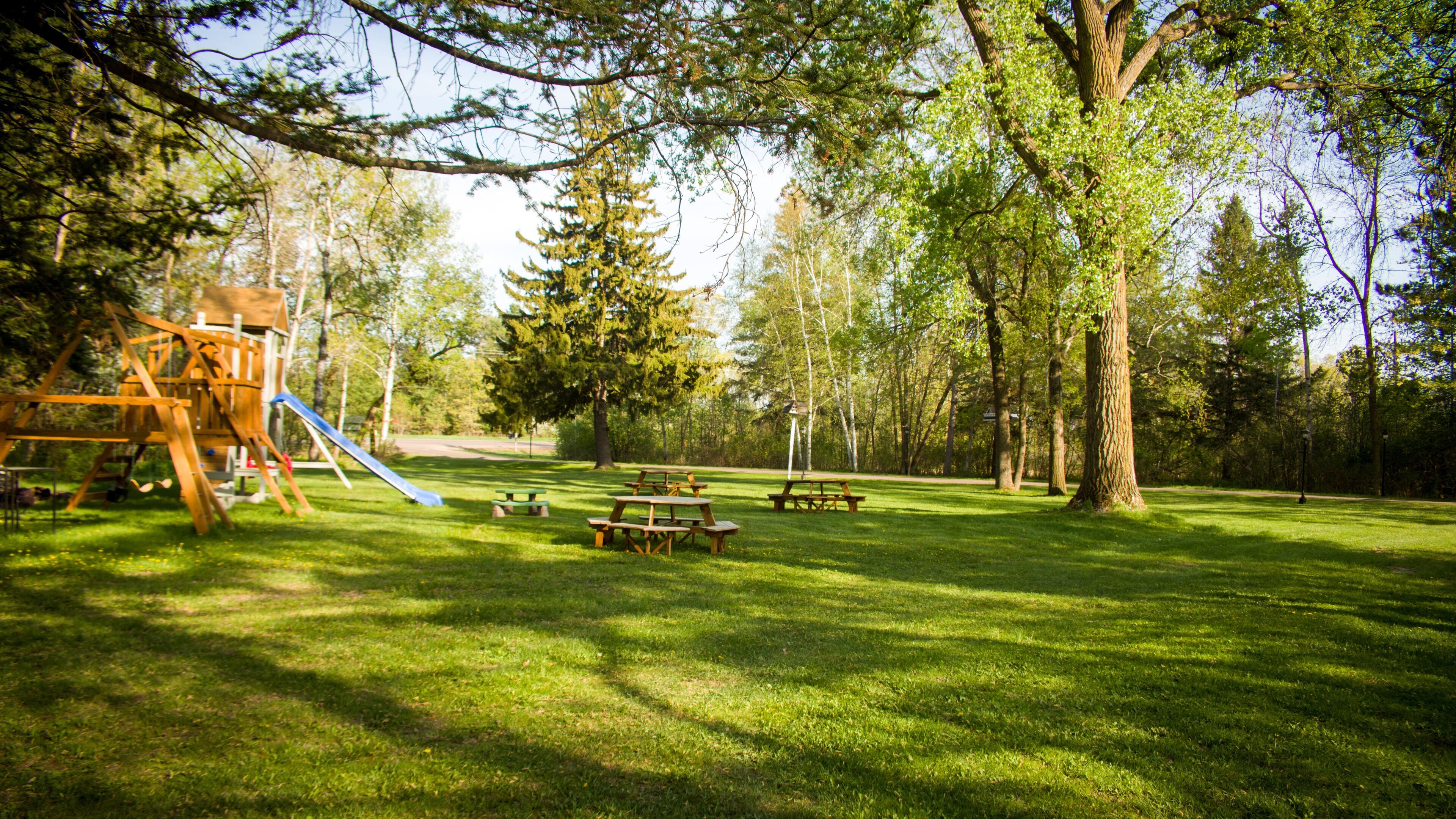Un parc avec des tables de pique-nique, une aire de jeux et un grand arbre.