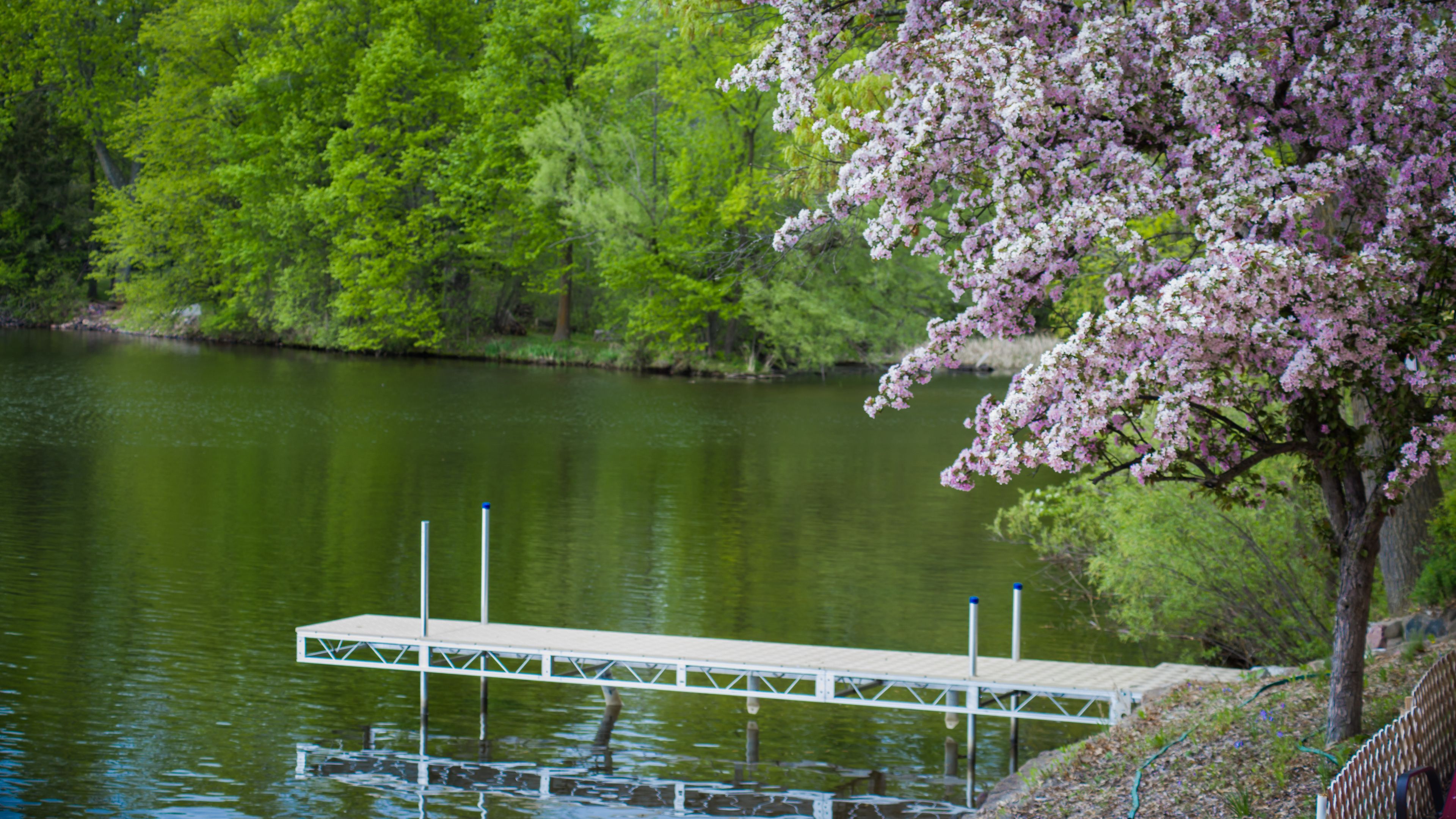 A dock extending into a calm lake surrounded by lush greenery and blooming trees.