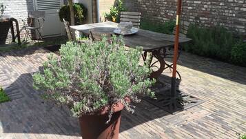Terras
