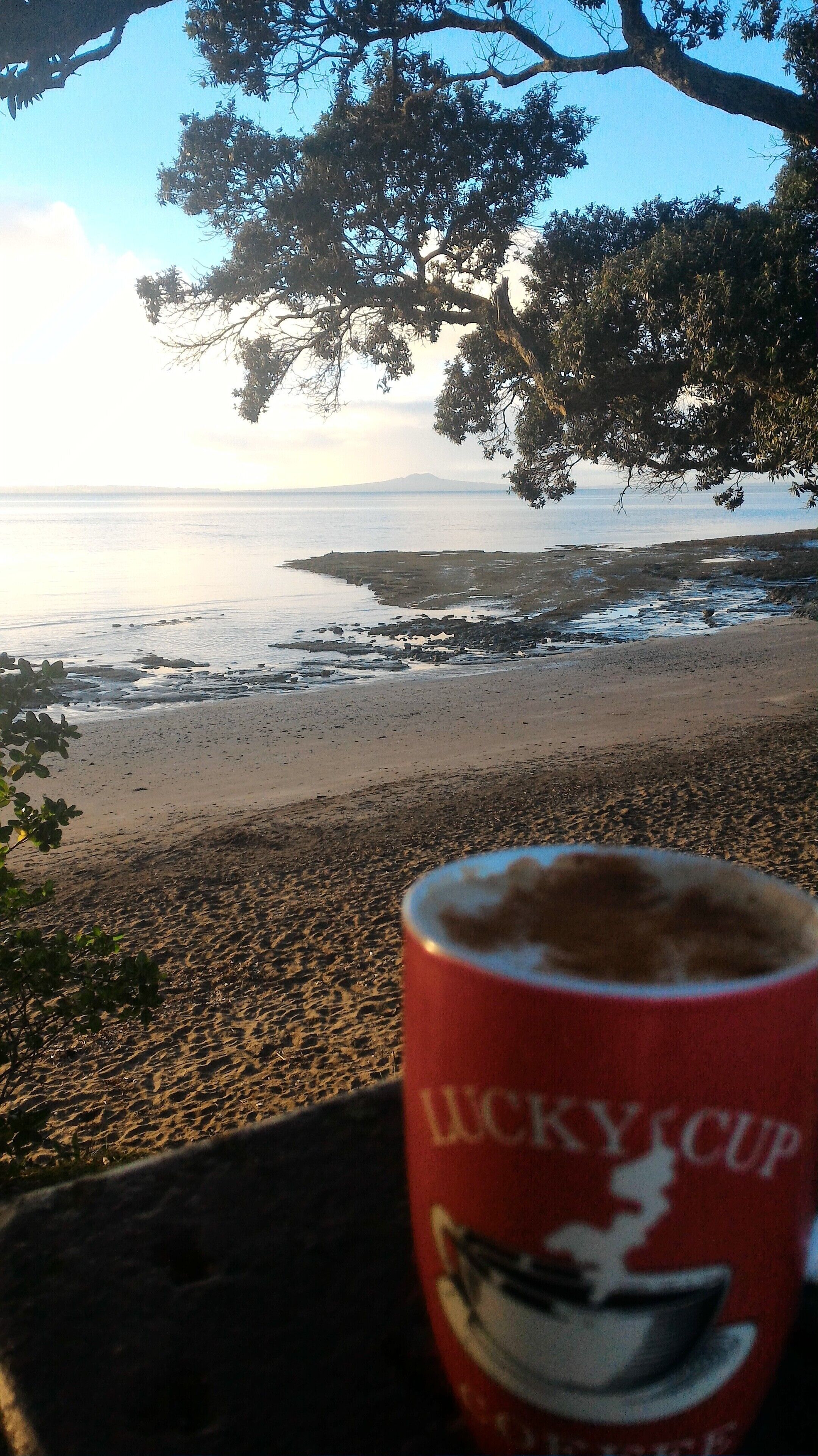 A beach view with a Lucky Cup in the foreground.