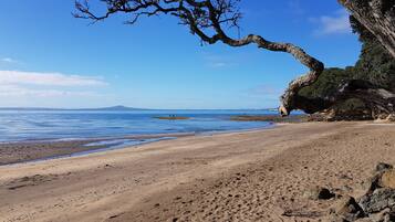 A beach with a large tree on the right, a clear sky, and calm water.