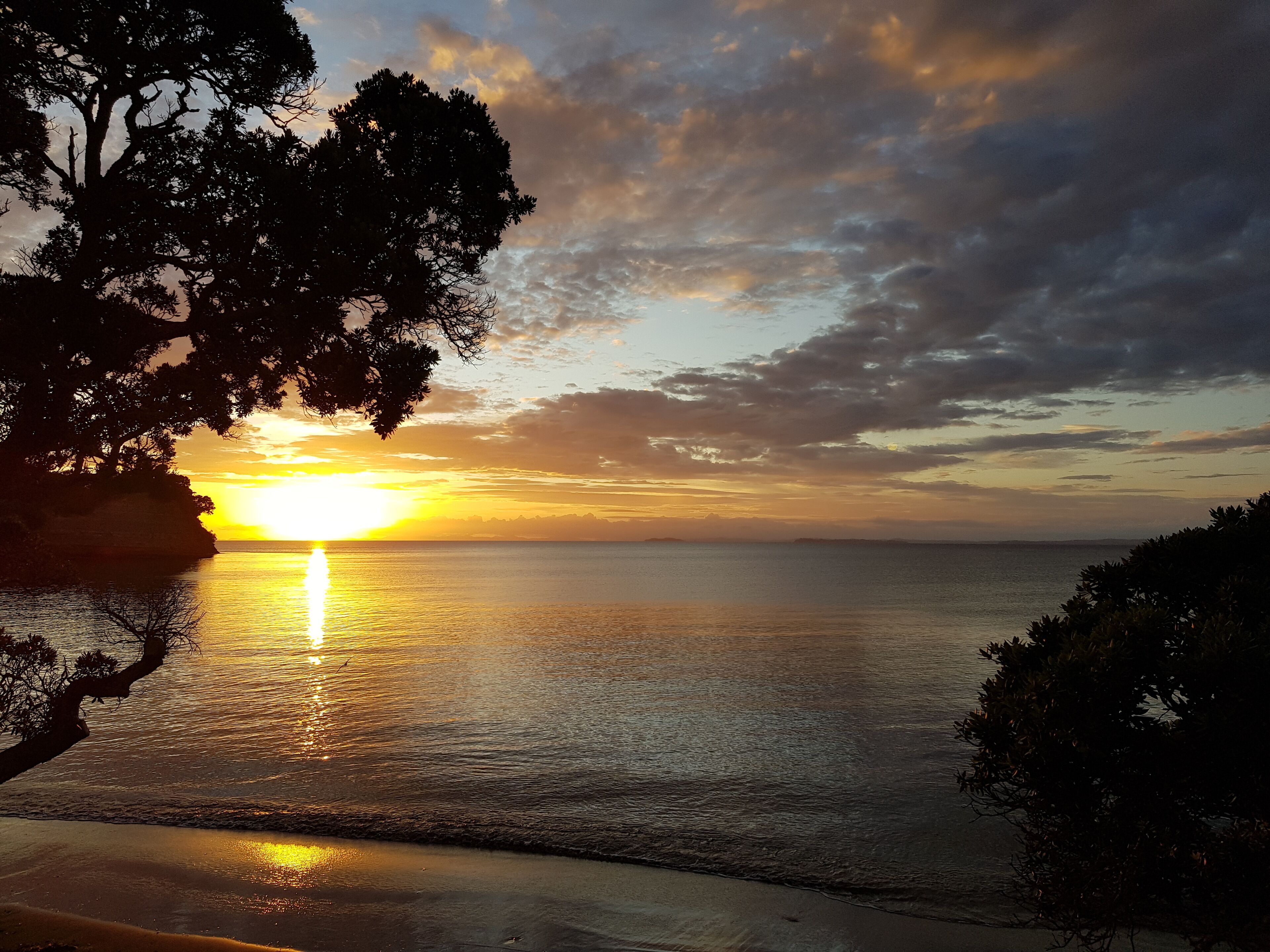 Un atardecer sobre un mar tranquilo, con la silueta de un árbol a la izquierda y un cielo despejado.