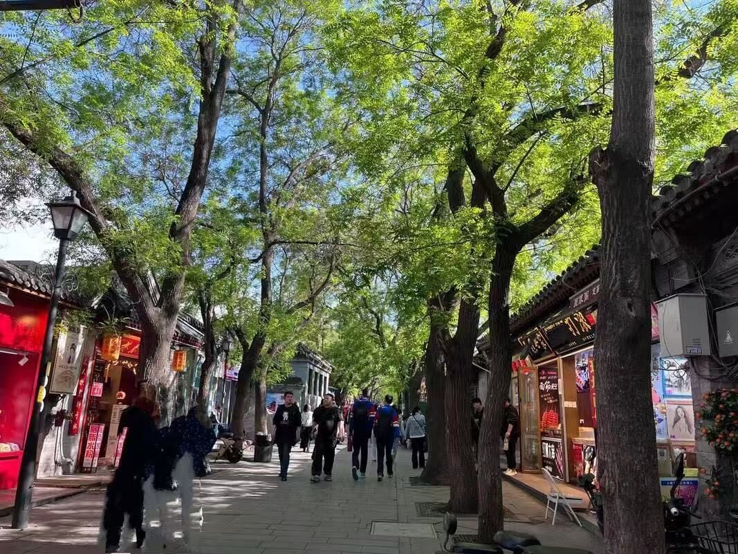 A tree-lined street with pedestrians and traditional buildings.