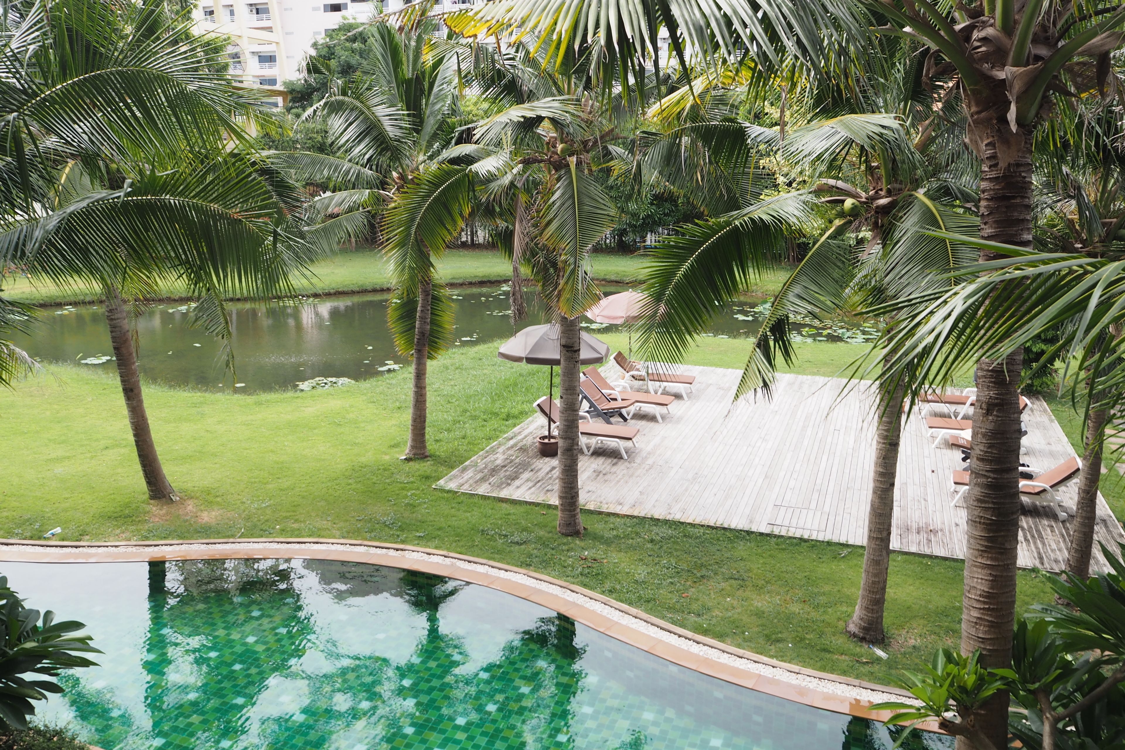 A poolside area with palm trees, a wooden deck, and lounge chairs.