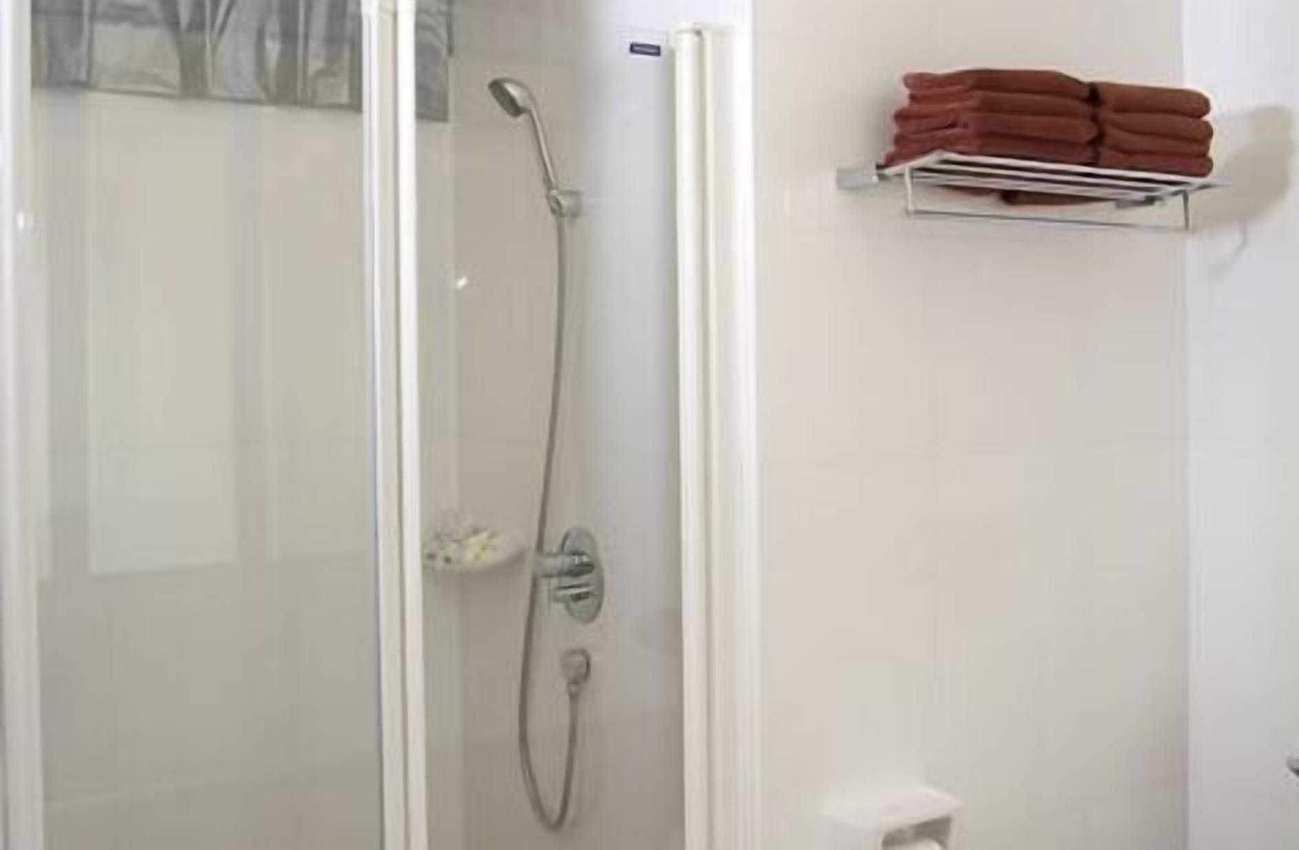 A shower area with a glass door, a handheld showerhead, and a towel rack with folded towels.