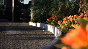 Un área ajardinada con un parterre curvo que contiene flores anaranjadas y follaje verde.