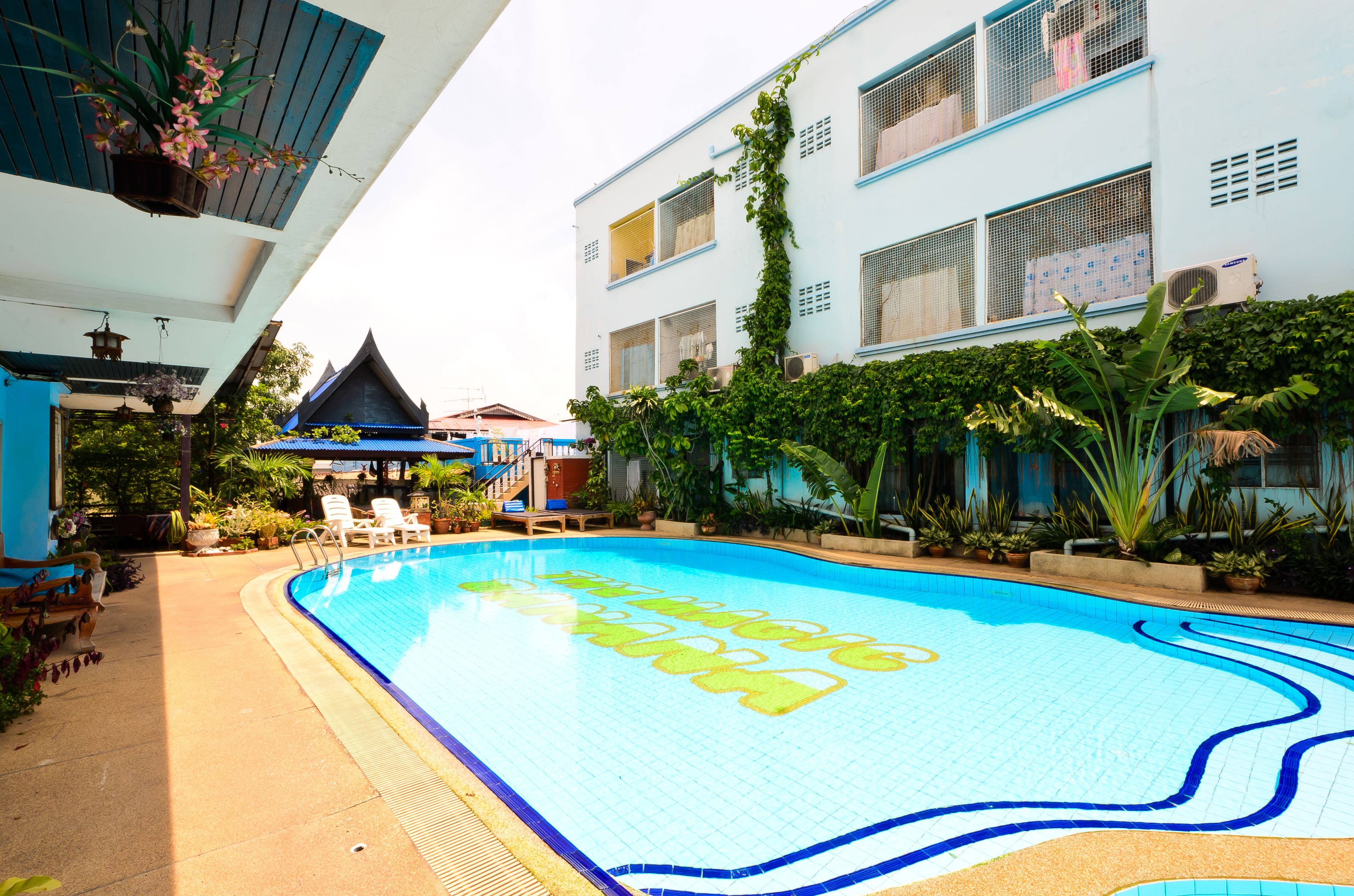 A swimming pool with a blue and yellow design, surrounded by potted plants and a building with blue and white walls.