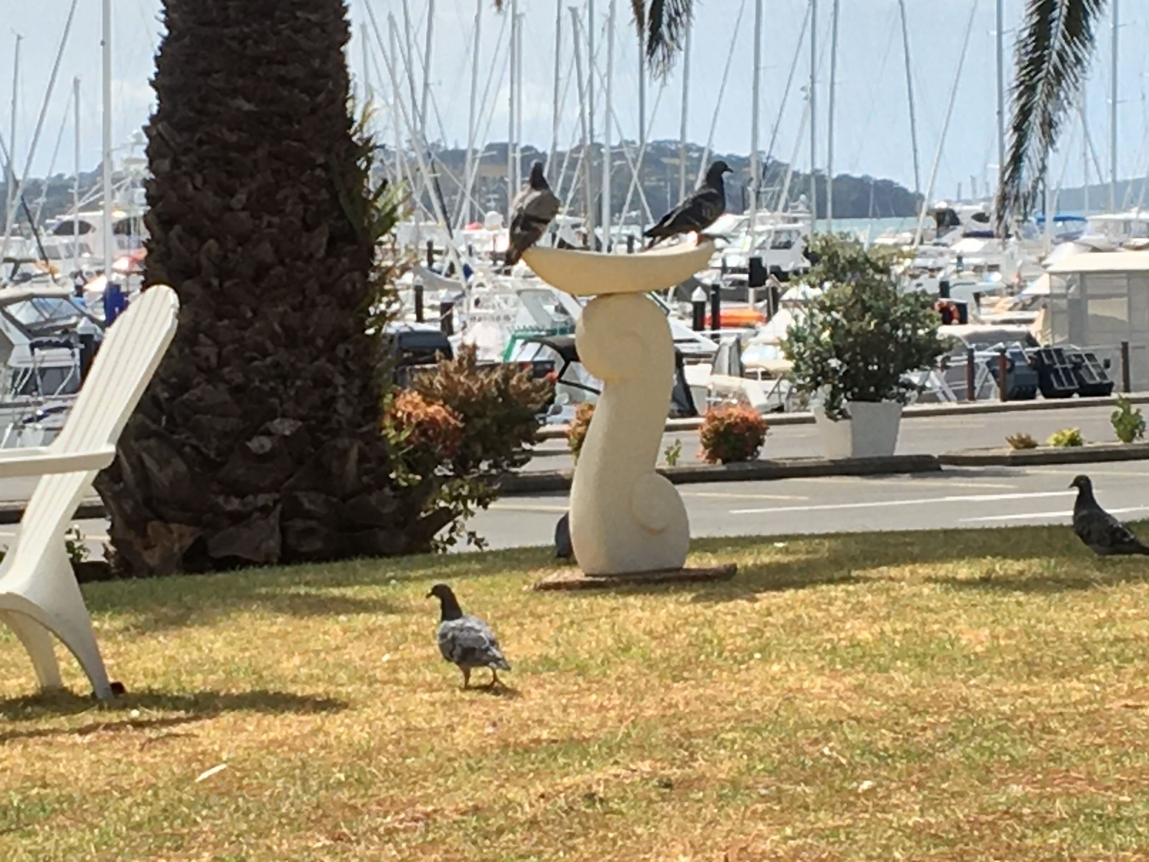 Foto - Half Moon Bay Motel