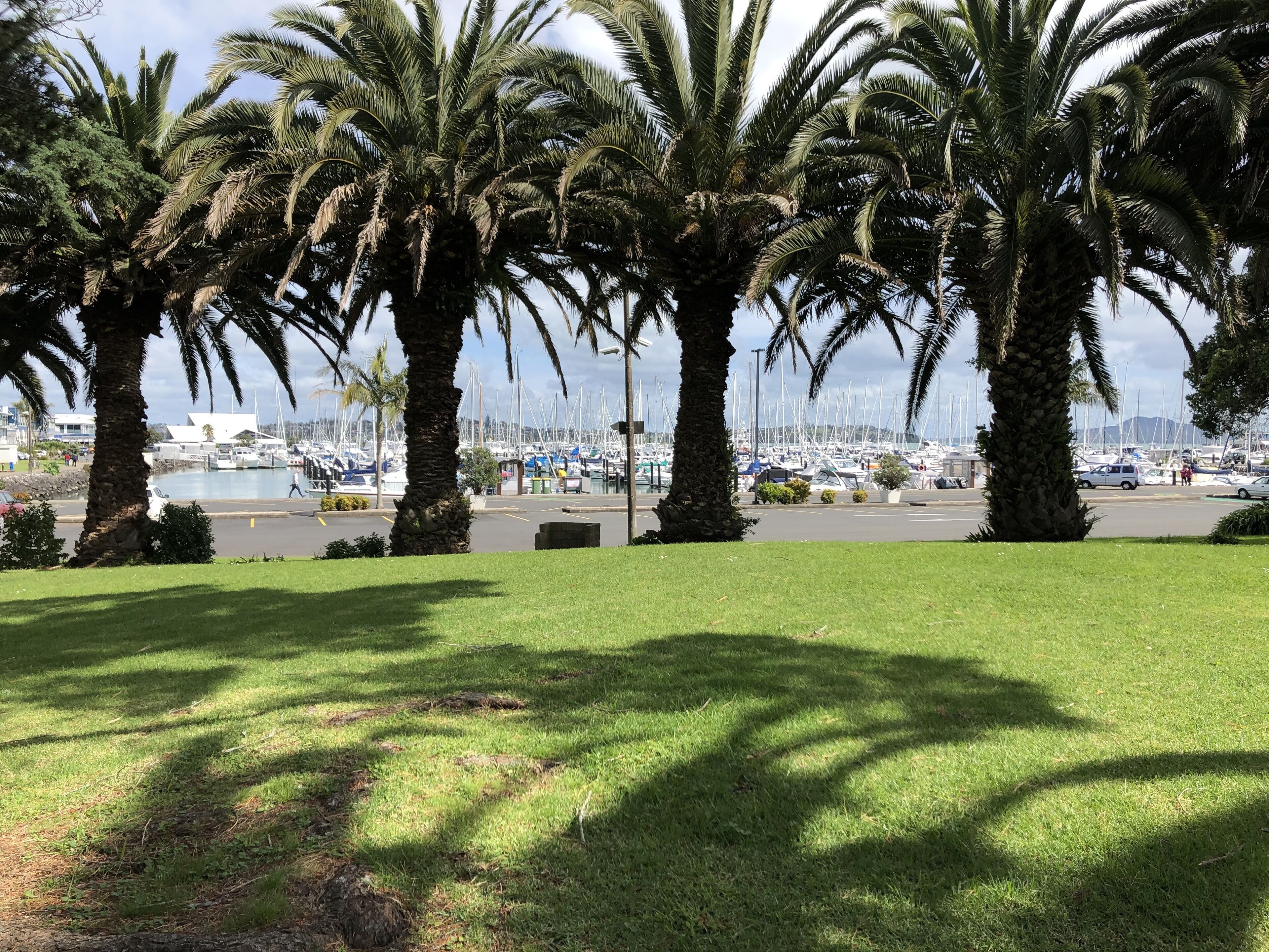 Foto - Half Moon Bay Motel