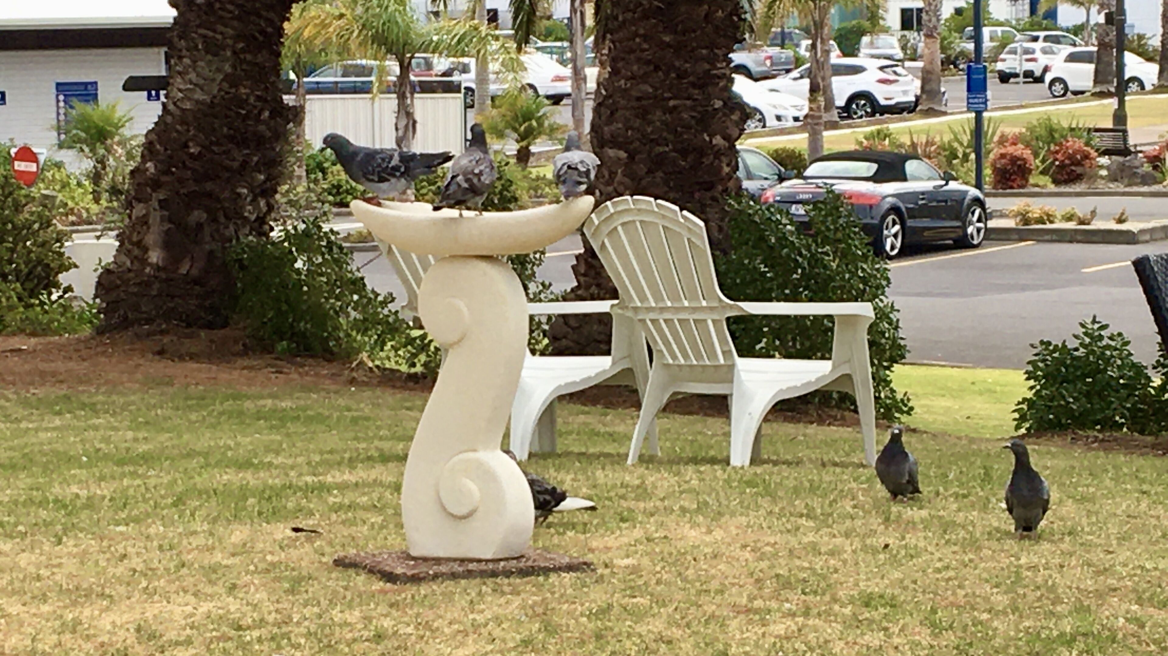 Foto - Half Moon Bay Motel