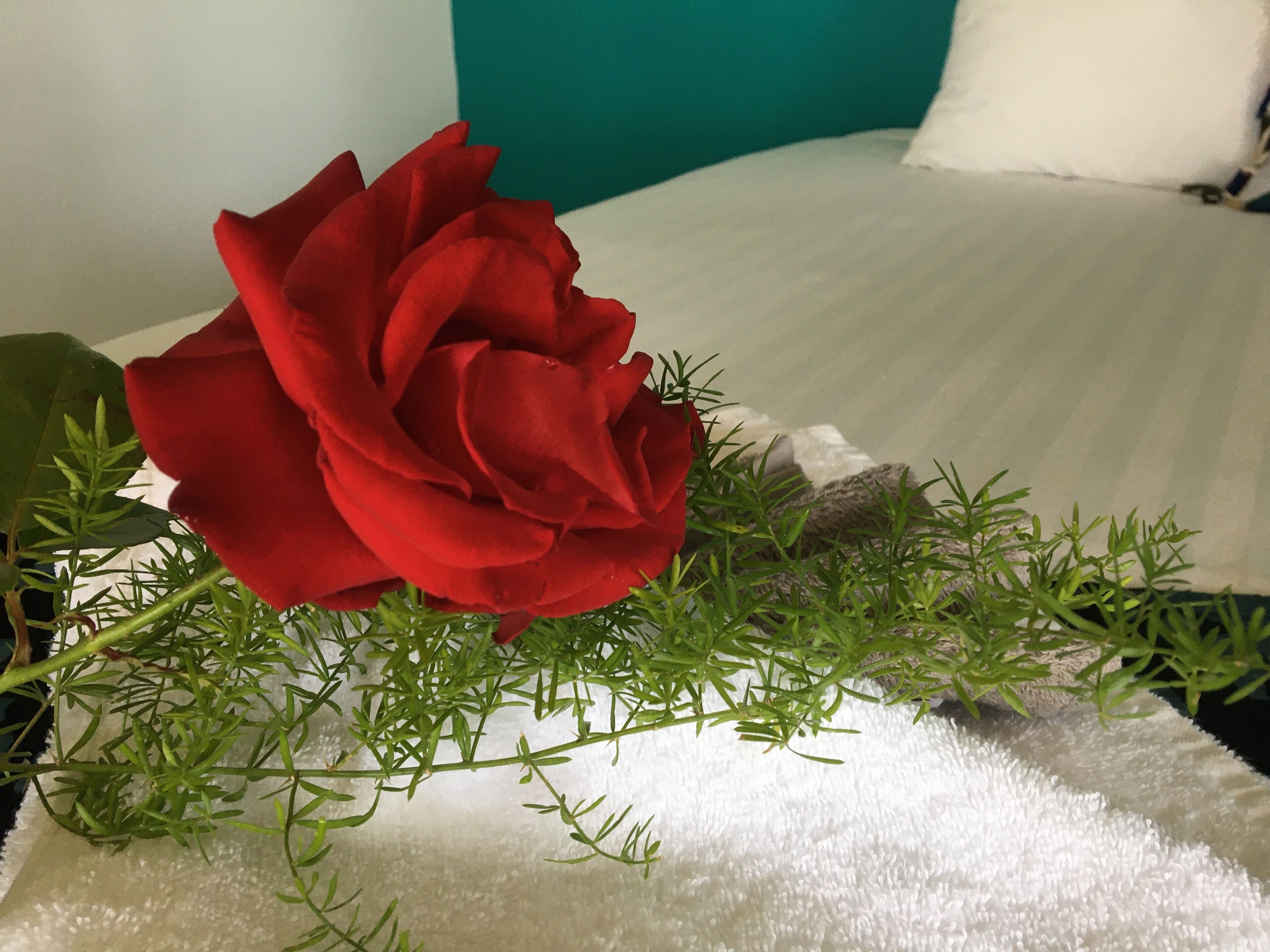 Foto - Half Moon Bay Motel