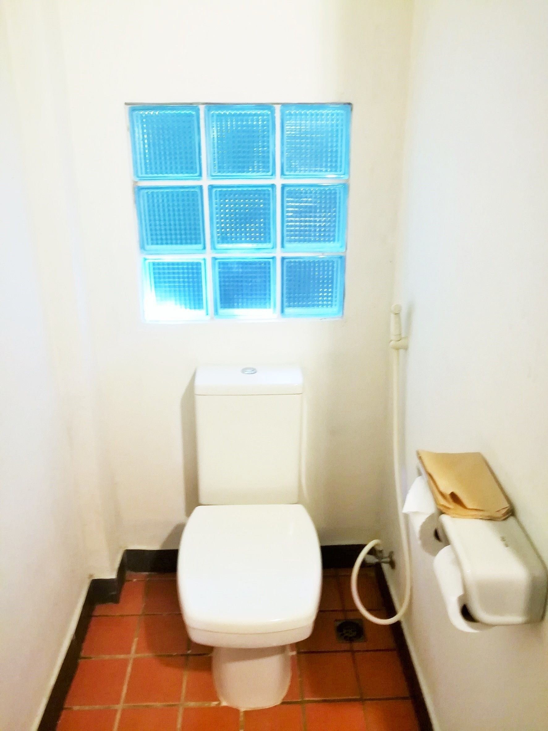 A small, narrow bathroom with a white toilet, a window with blue mesh, and a white toilet paper holder.