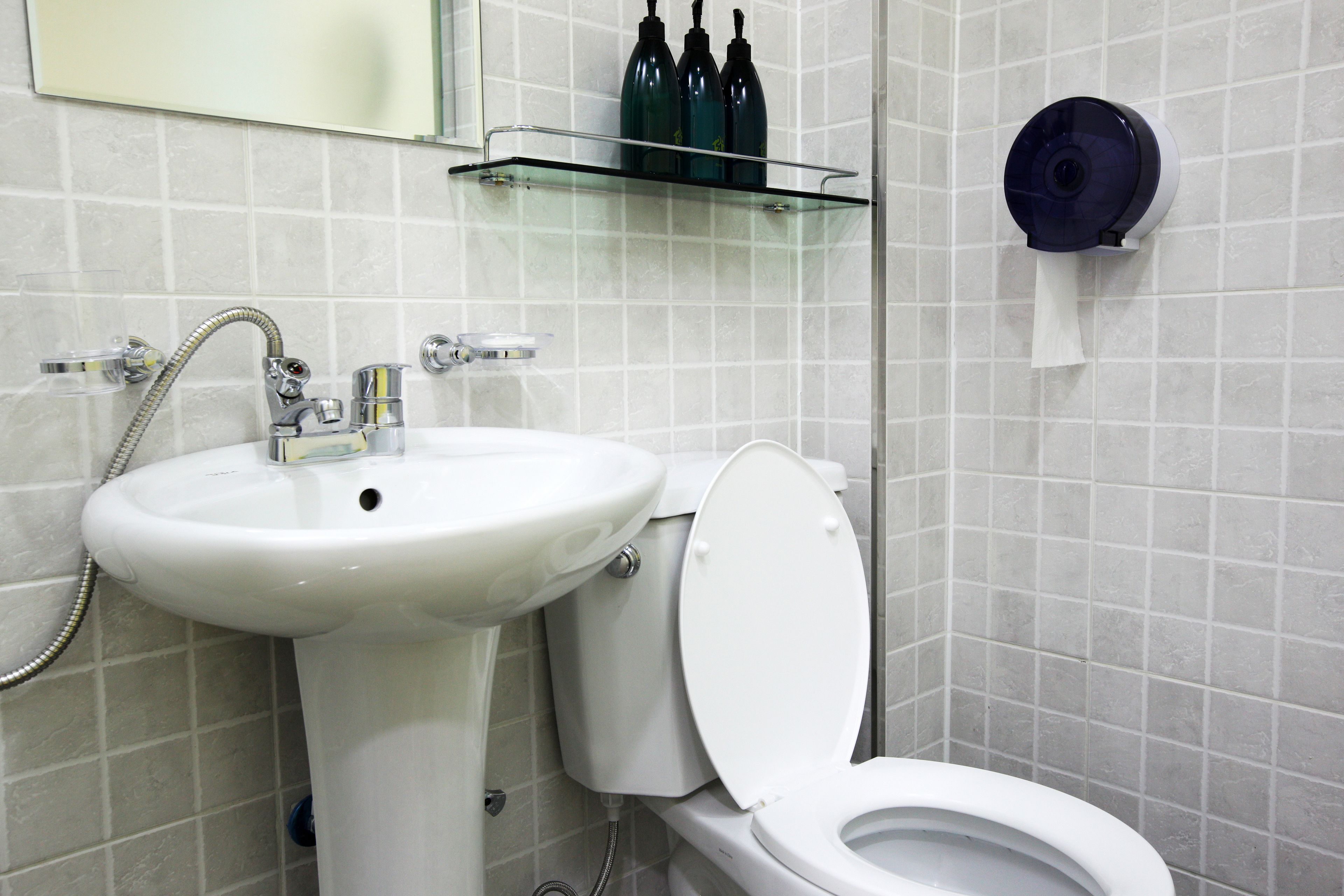 shower, free toiletries, hair dryer, slippers