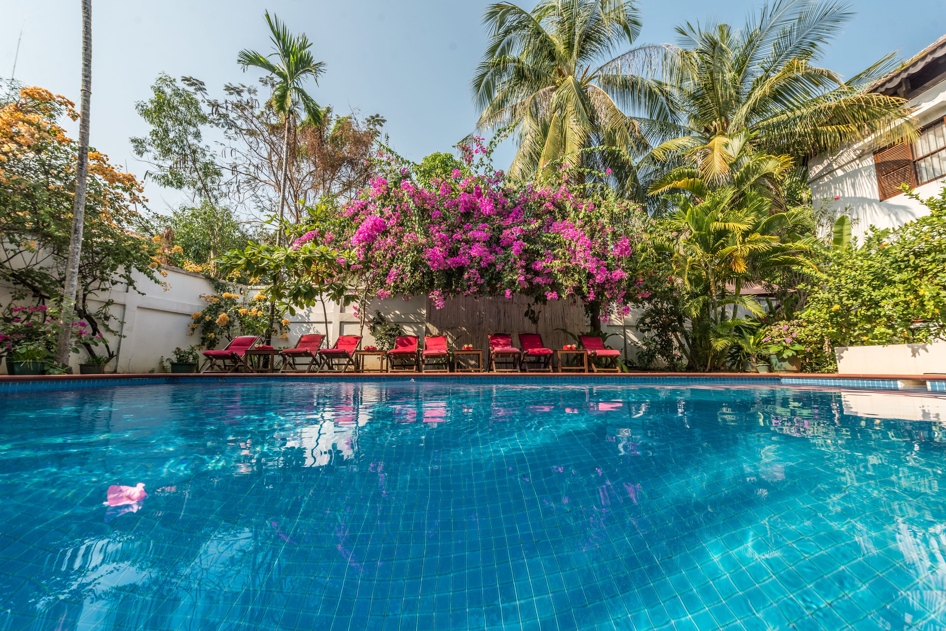 outdoor pool, pool umbrellas, pool loungers