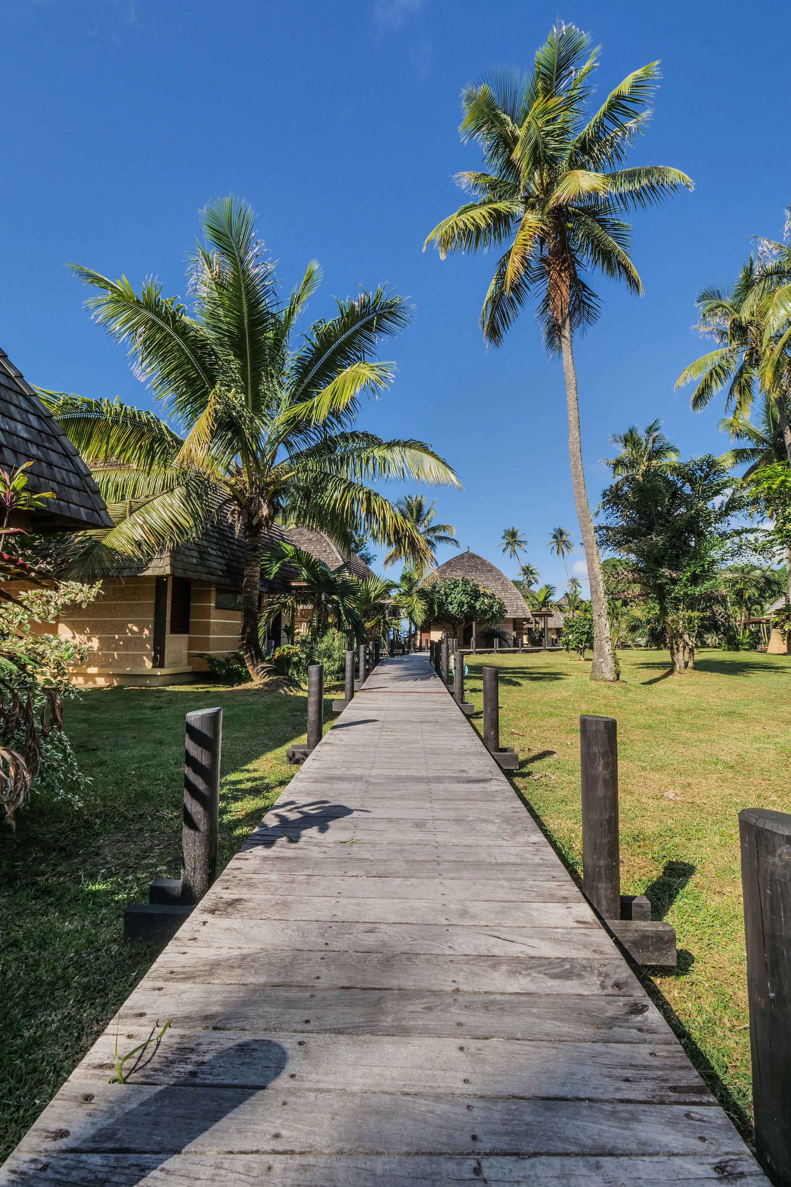 classic bungalow, garden view (tropical) | view from room