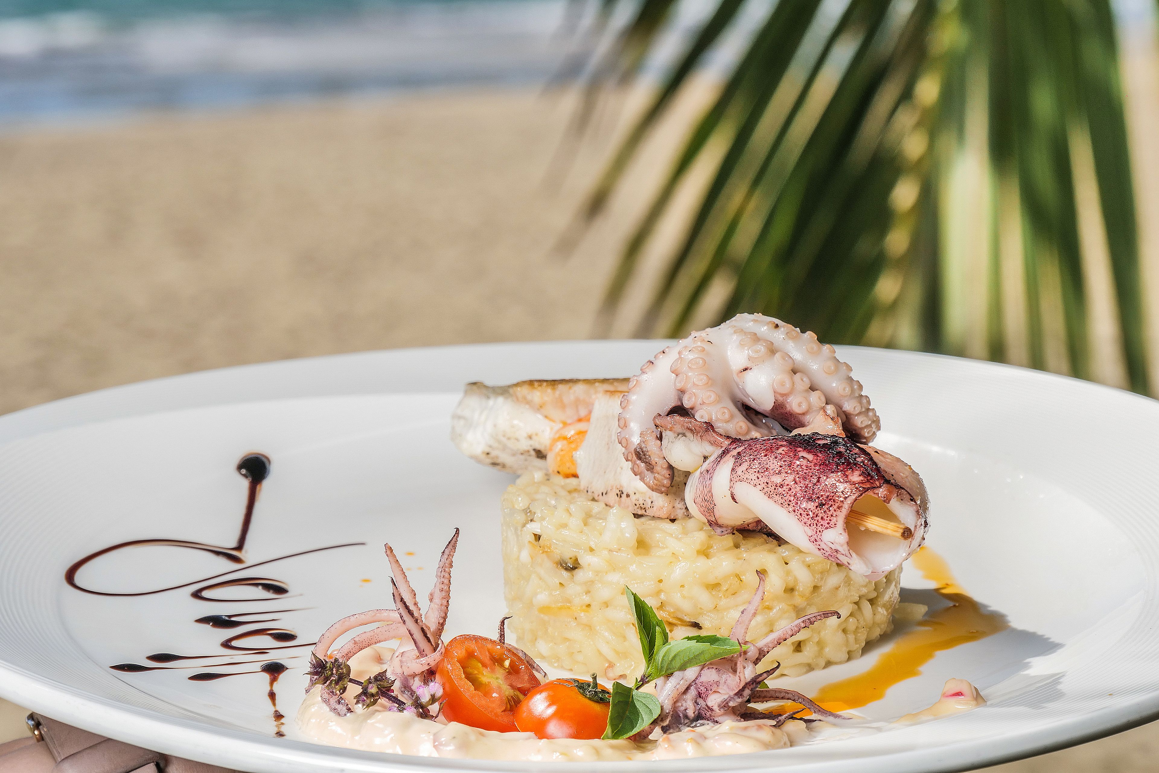 Un plato de comida con tentáculos de pulpo, arroz y guarniciones.