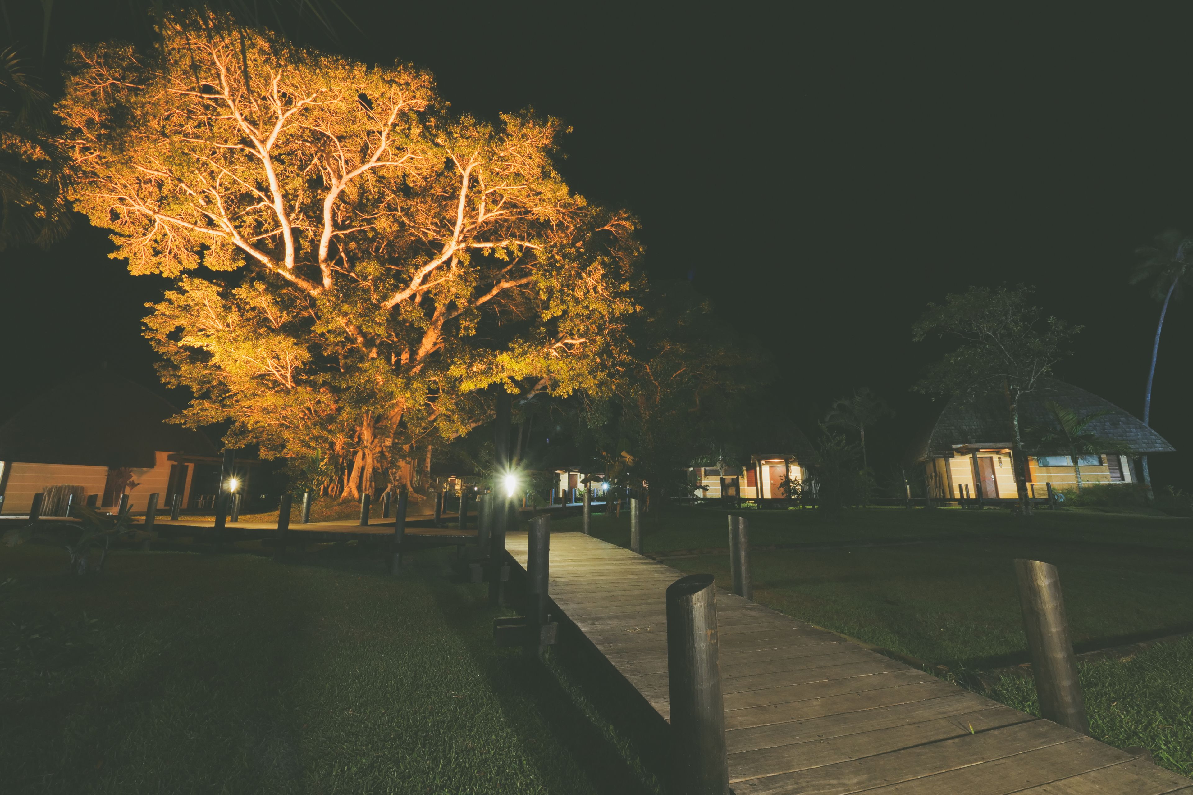 A nighttime scene with a wooden pathway leading to a building with a thatched roof.