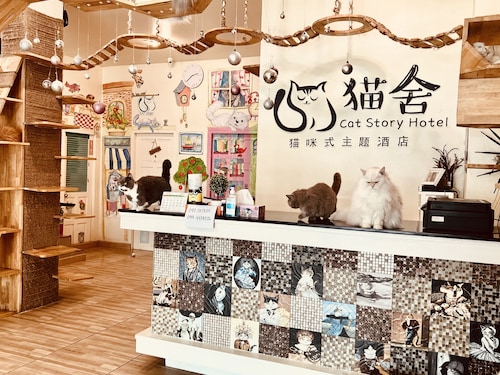 Cat Story Hotel