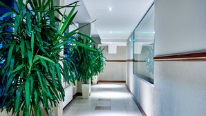 Un pasillo moderno de hotel con plantas en macetas, suelo de baldosas y paredes de vidrio.