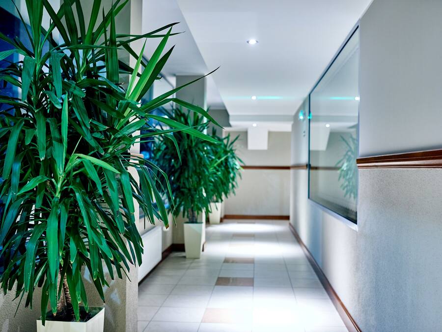 A modern hotel corridor with potted plants, a tiled floor, and glass walls.
