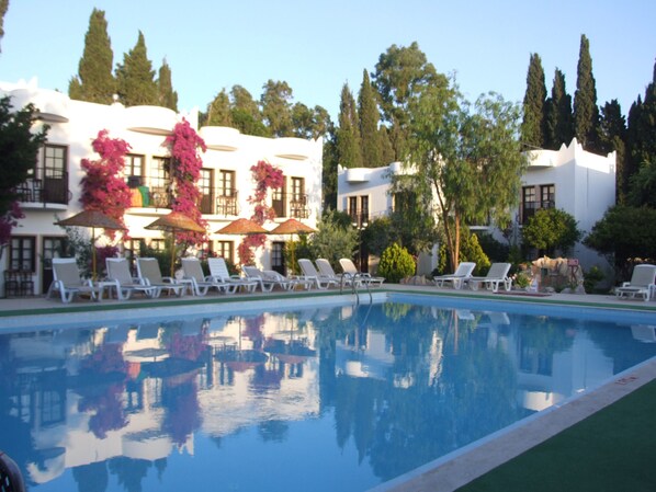 Outdoor pool, sun loungers
