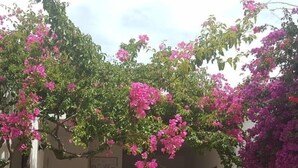 منطقة الاستقبال