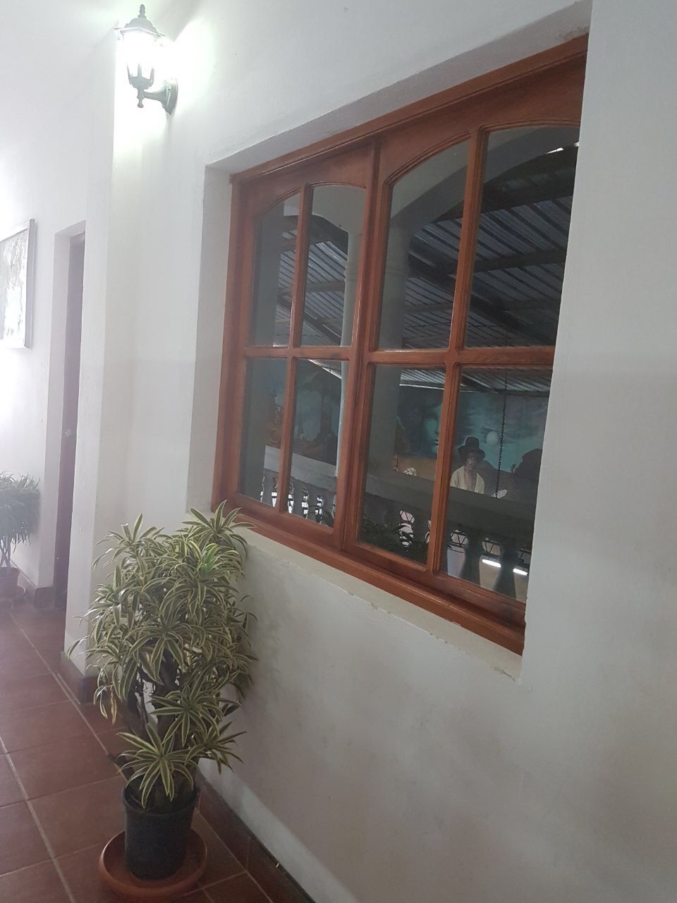 Un pasillo con una planta en maceta, una ventana con marcos de madera y una lámpara fijada a la pared.