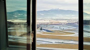 Deluxe Double Room, 1 King Bed, Non Smoking | View from room