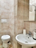 A bathroom with a toilet, sink, and mirror.