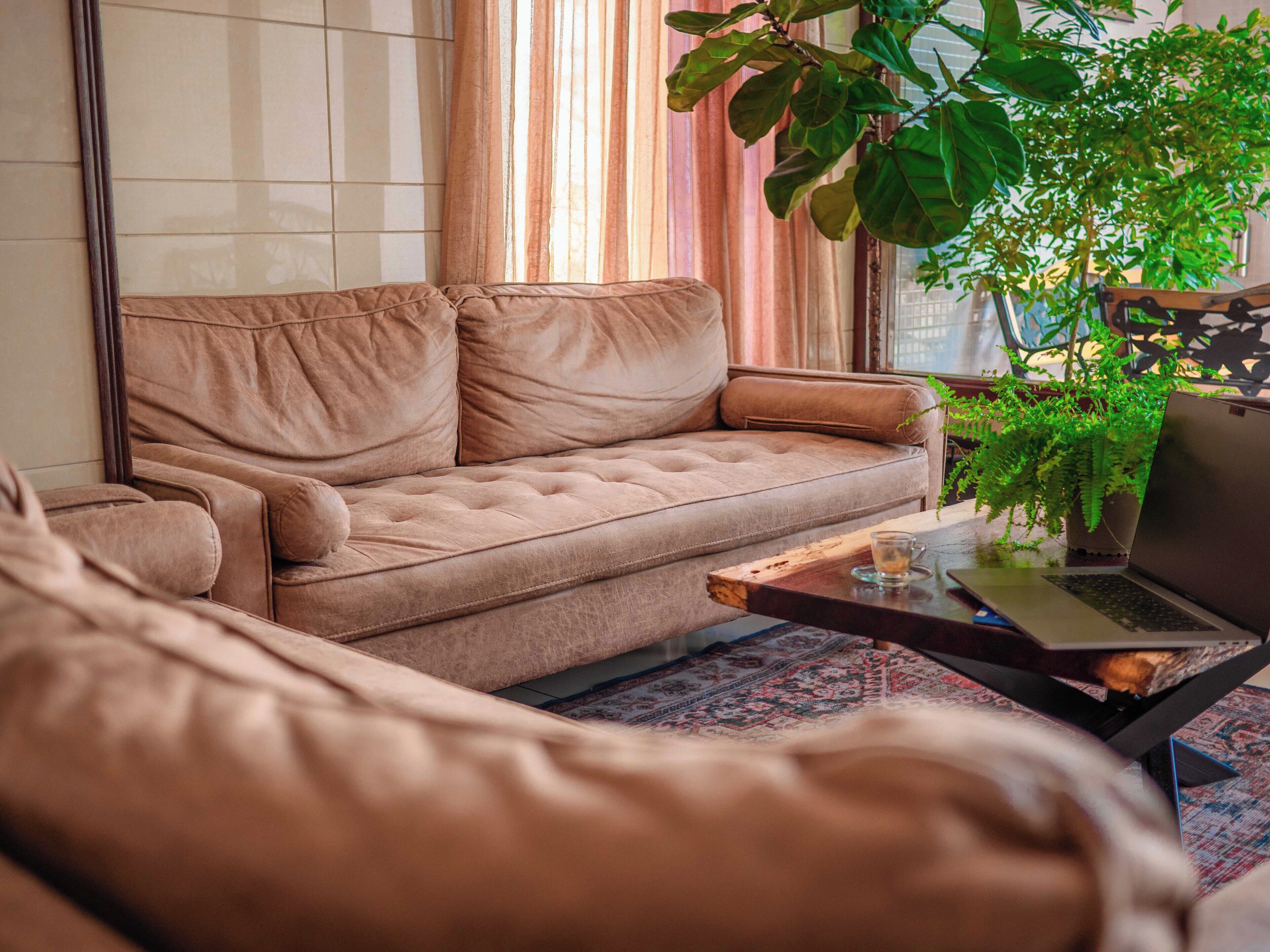 Photo - Hotel Palacio