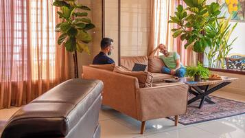 A living room with a sofa, a coffee table, and a large plant.