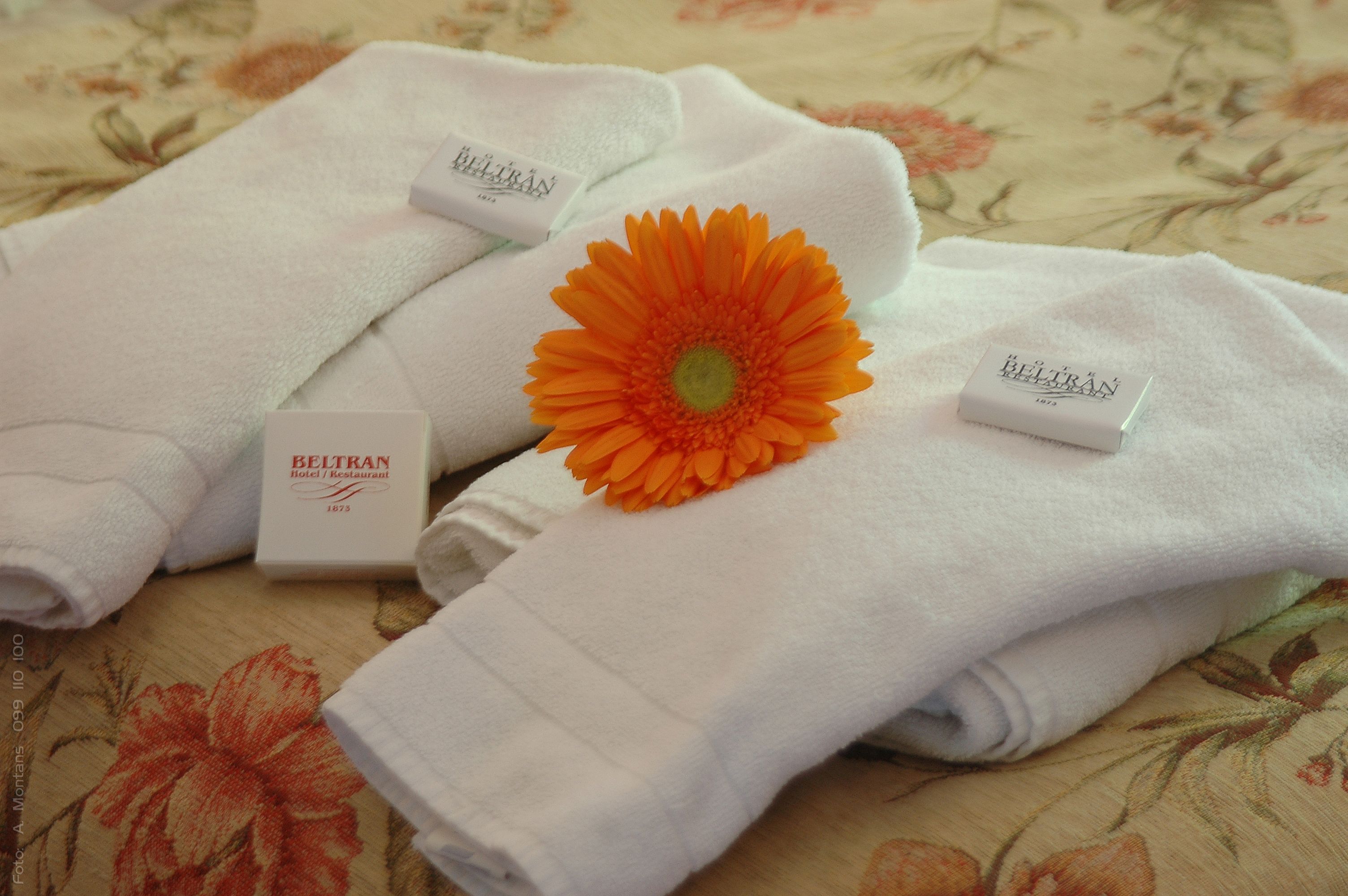 Foto - Hotel Beltran