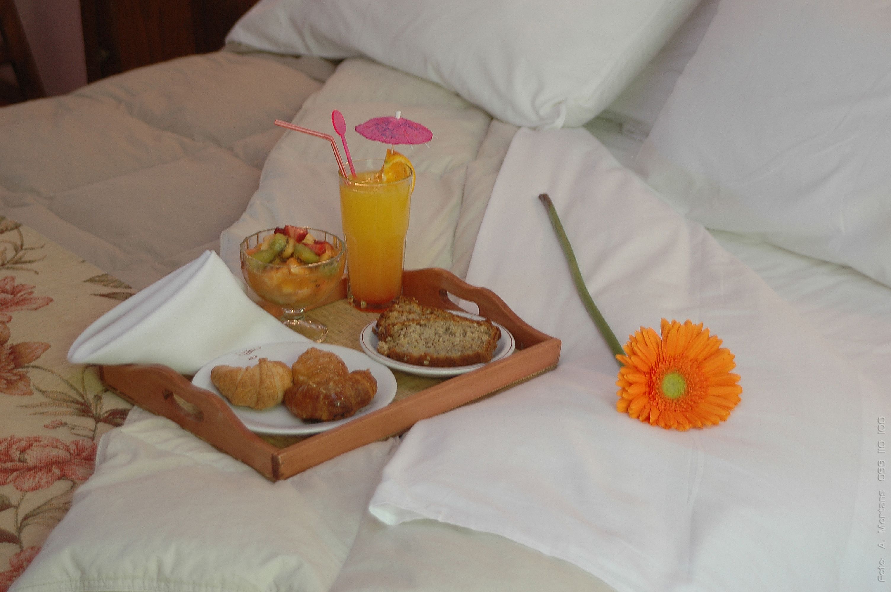 Foto - Hotel Beltran