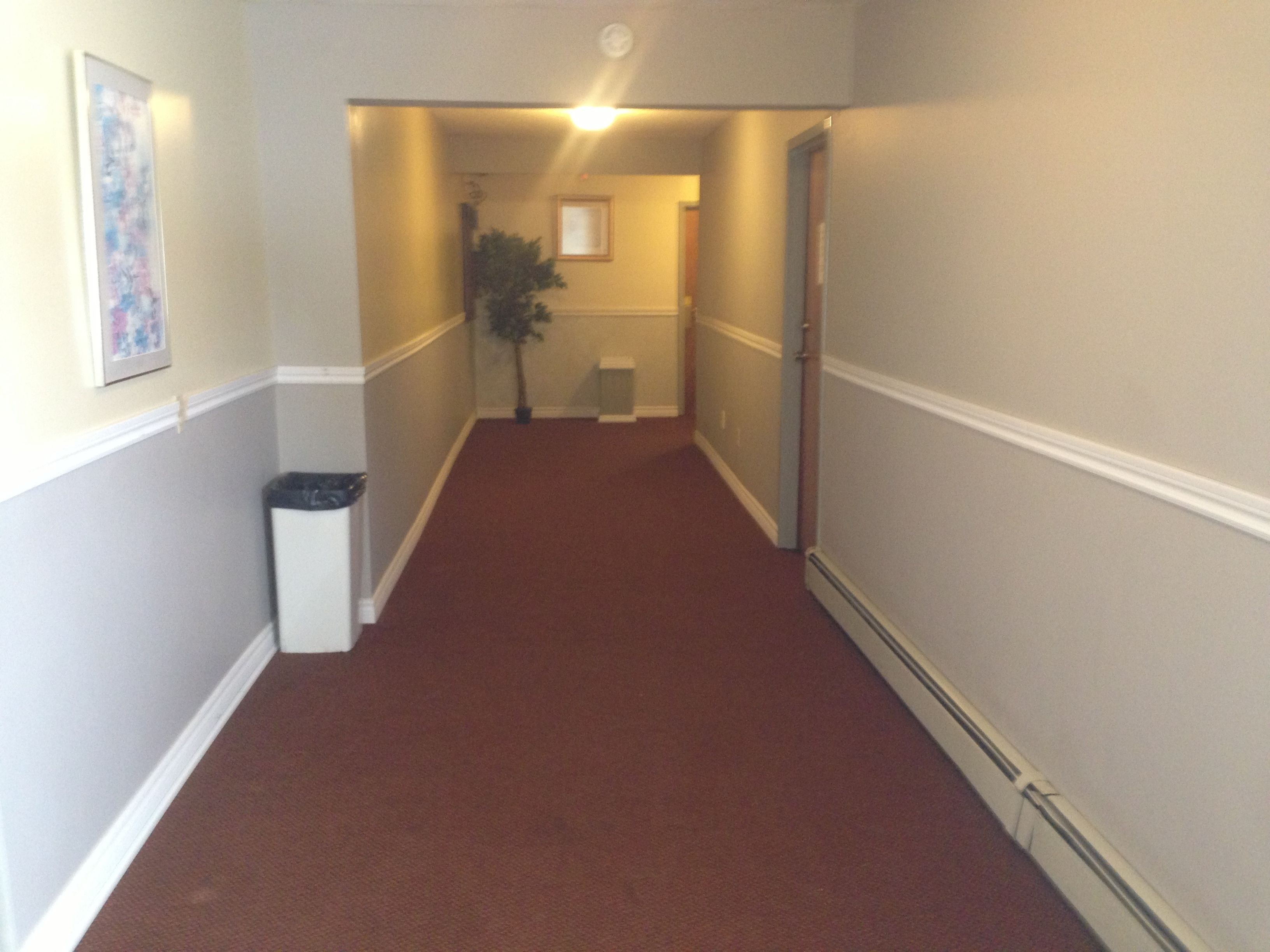 A hallway with a red carpet, white trim, and a trash can on the left.